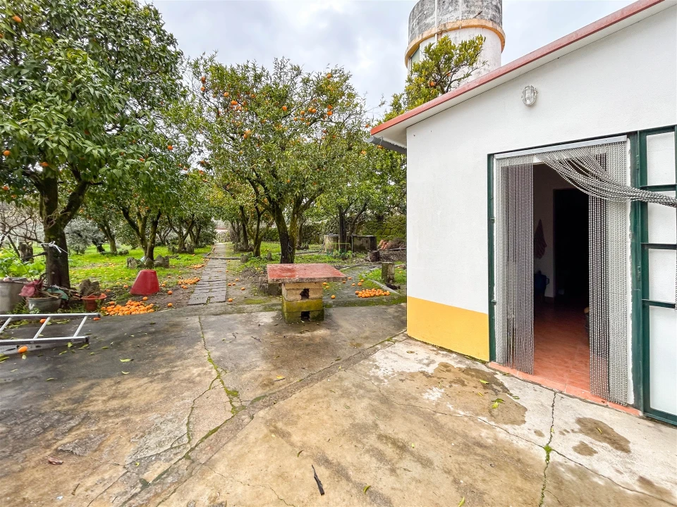 Quinta T3 para Venda em Castelo Branco Foto 9