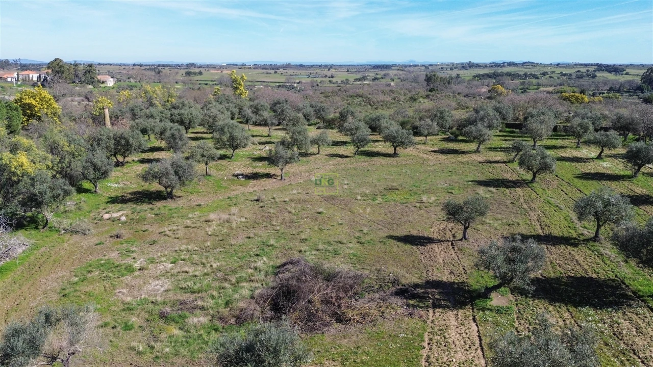 Quinta T3 para Venda em Castelo Branco Foto 72