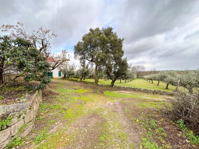 Quinta T3 para Venda em Castelo Branco Foto 21