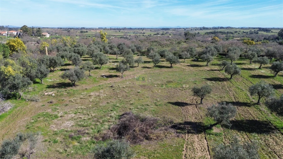 Quinta T3 para Venda em Castelo Branco Foto 72