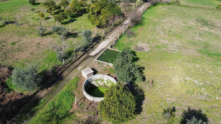 Quinta T3 para Venda em Castelo Branco Foto 73