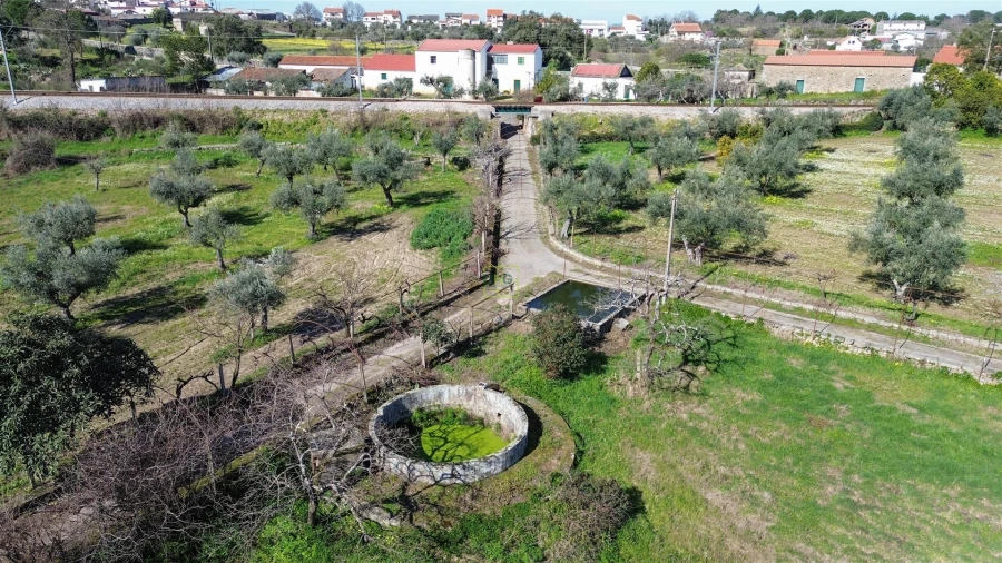 Quinta T3 para Venda em Castelo Branco Foto 77