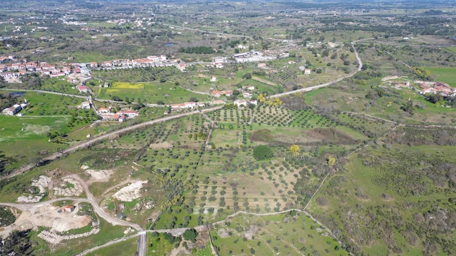 Quinta T3 para Venda em Castelo Branco Foto 65