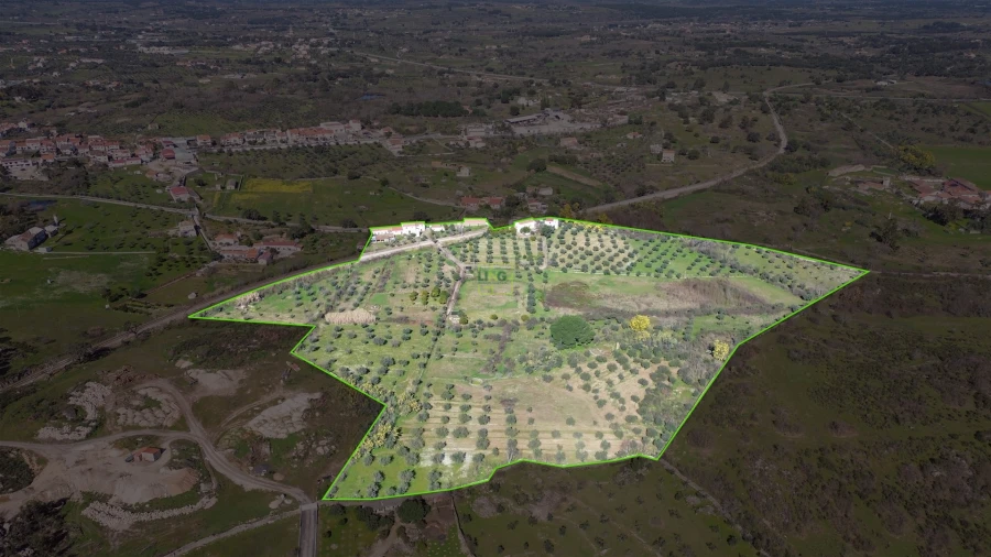 Quinta T3 para Venda em Castelo Branco Foto 66