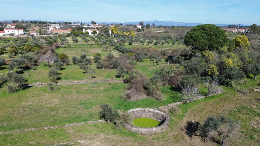 Quinta T3 para Venda em Castelo Branco Foto 71