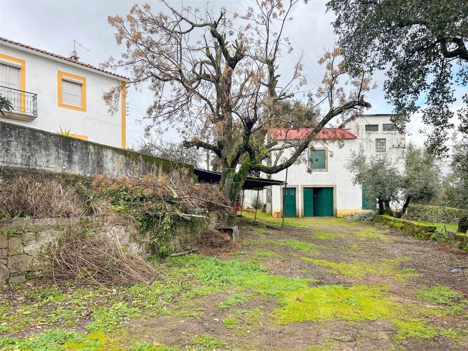 Quinta T3 para Venda em Castelo Branco Foto 20