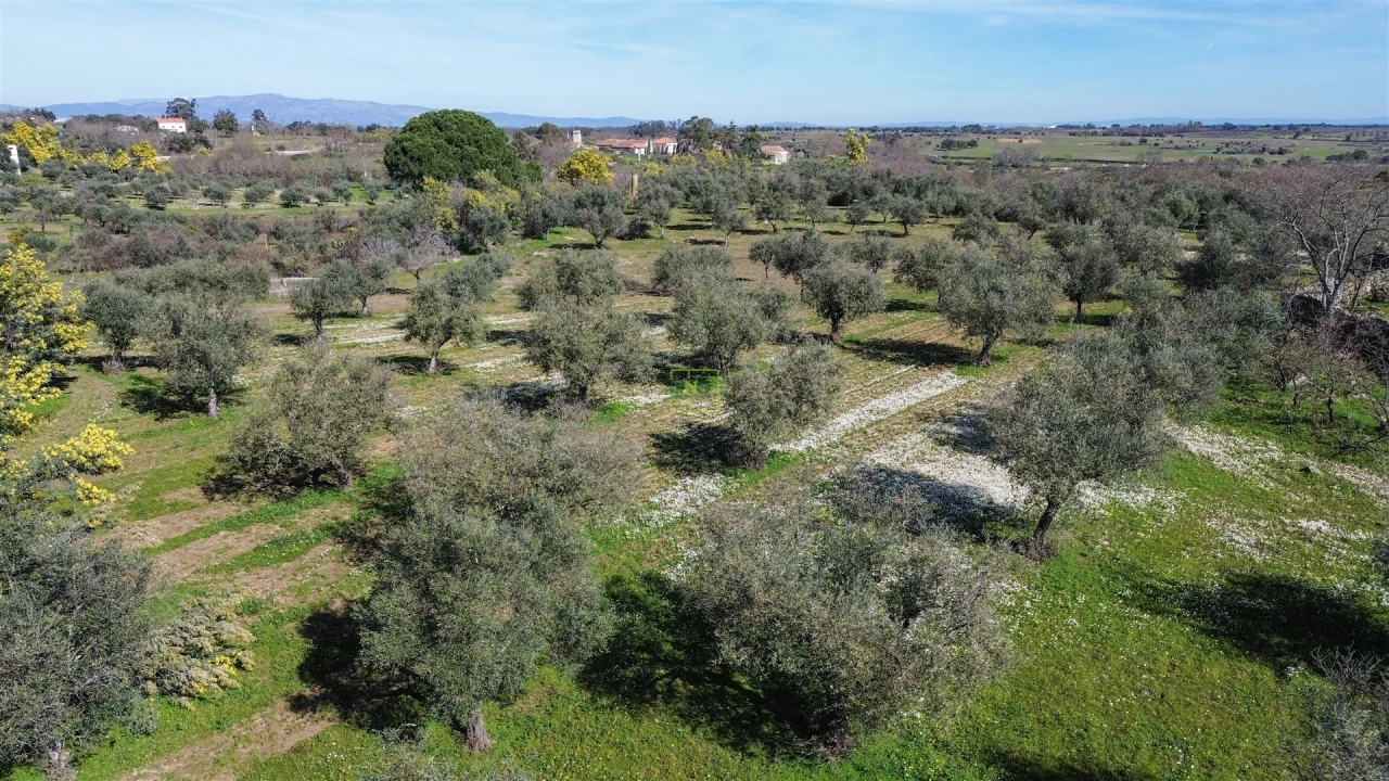 Quinta T3 para Venda em Castelo Branco Foto 69