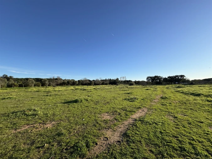 Terreno para Arrendamento em Quarteira Foto 9