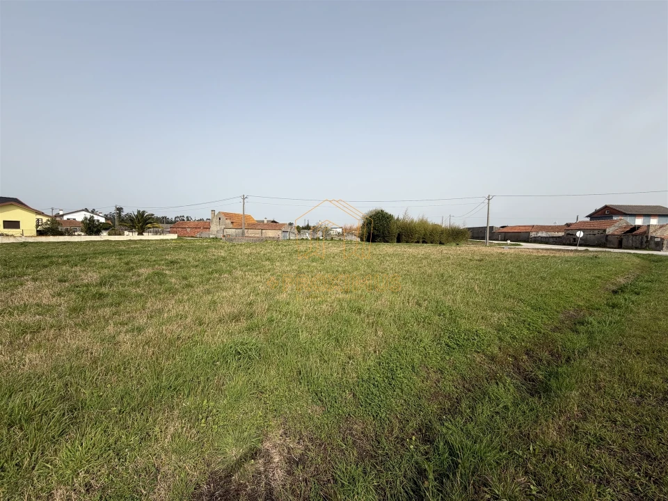 Terreno para Venda em Bom Sucesso Foto 9