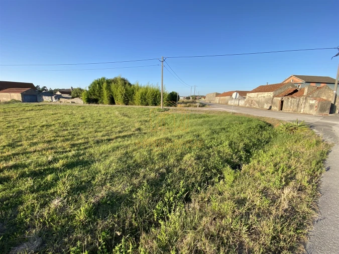 Terreno para Venda em Bom Sucesso Foto 4