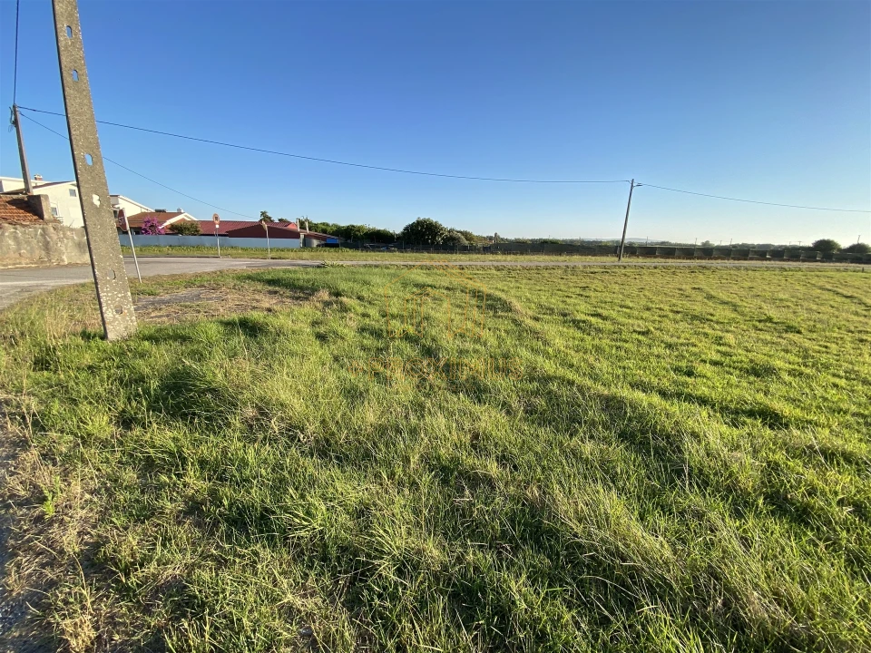 Terreno para Venda em Bom Sucesso Foto 5