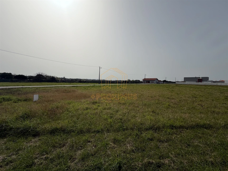 Terreno para Venda em Bom Sucesso Foto 13