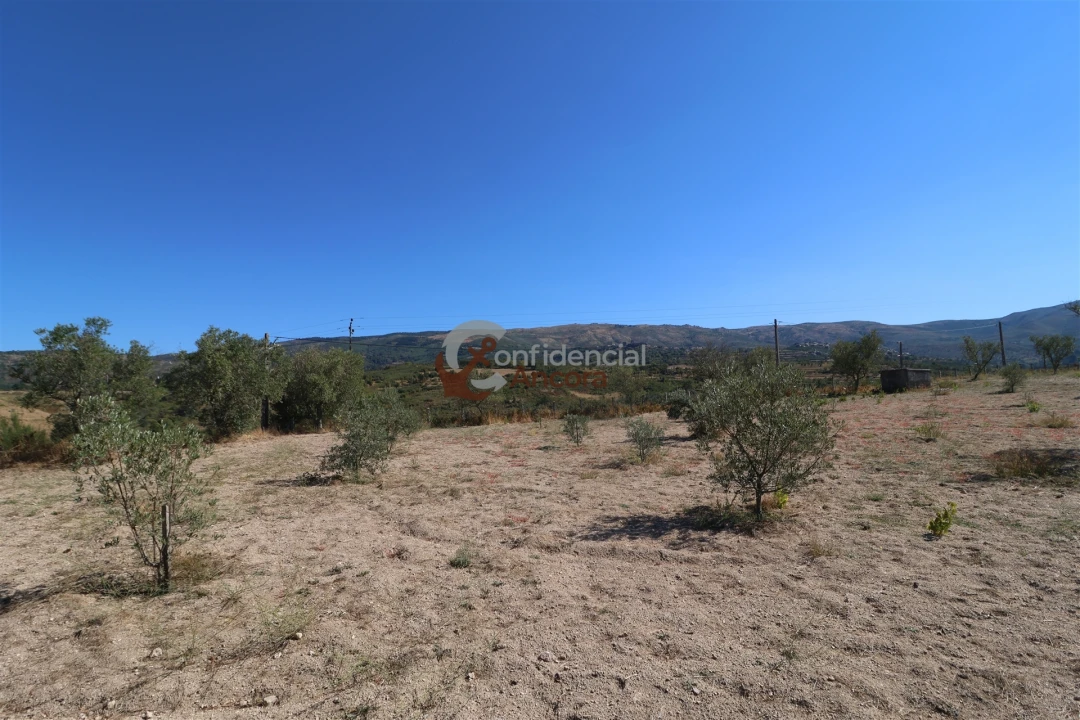 Quinta T0 para Venda em Carrapichana Foto 27