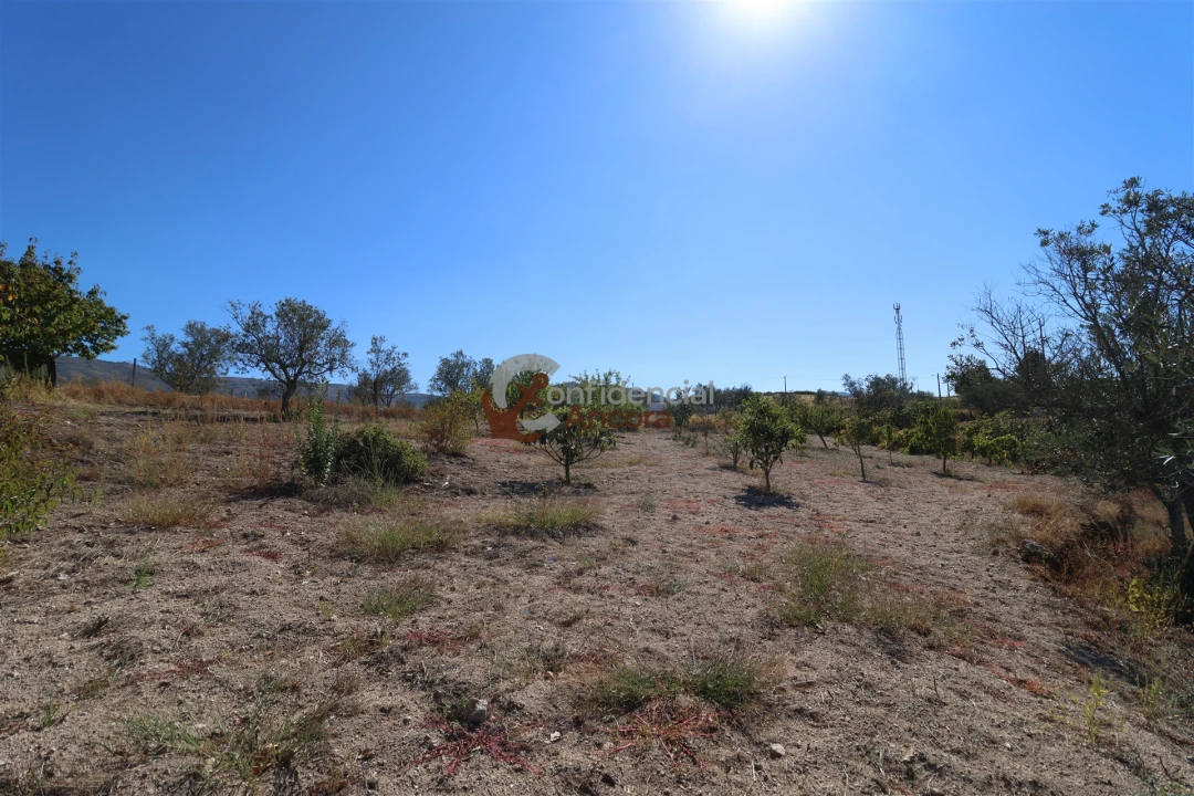 Quinta T0 para Venda em Carrapichana Foto 23