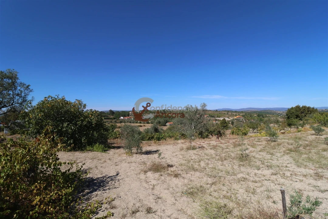 Quinta T0 para Venda em Carrapichana Foto 41