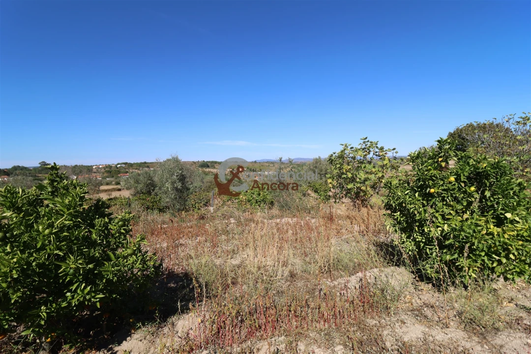 Quinta T0 para Venda em Carrapichana Foto 15