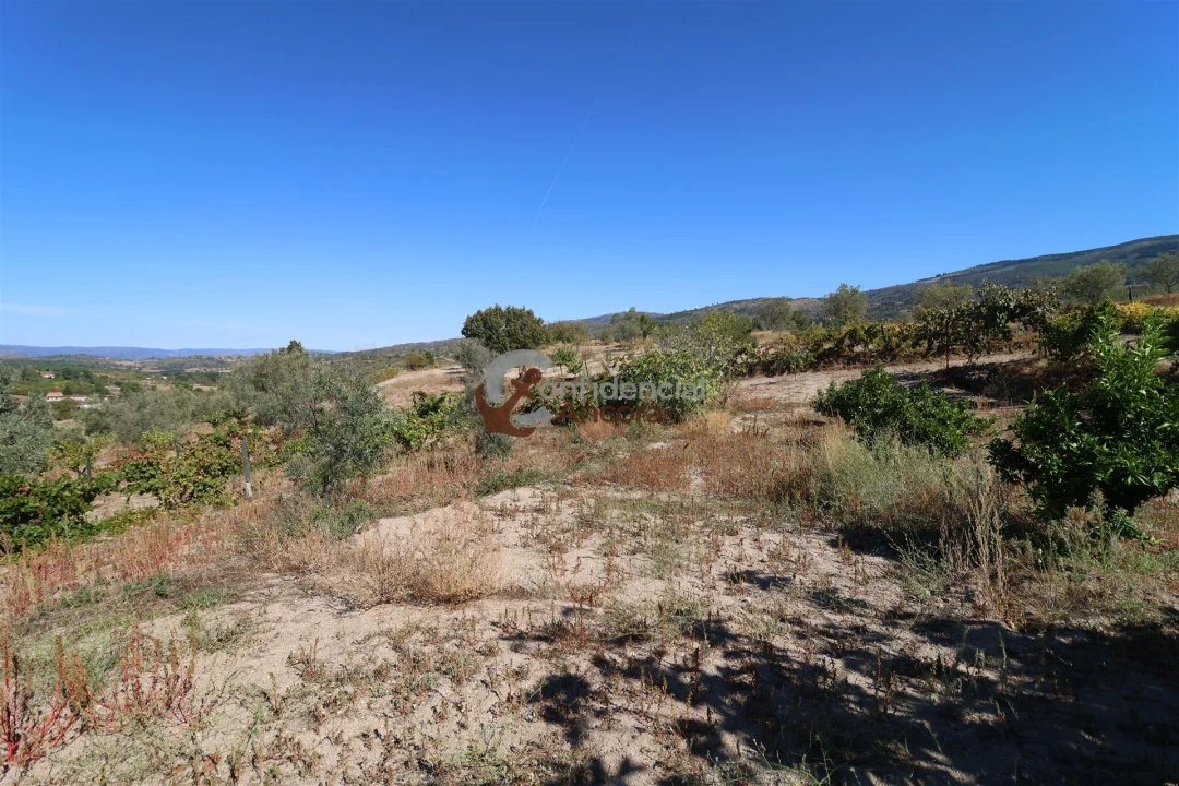 Quinta T0 para Venda em Carrapichana Foto 13