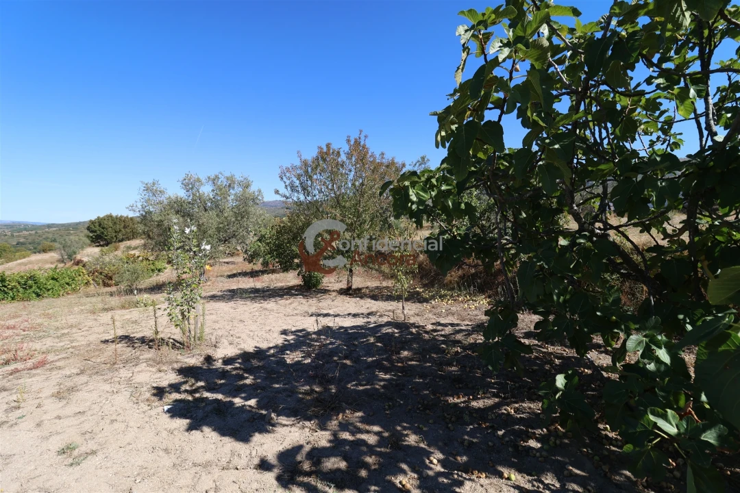 Quinta T0 para Venda em Carrapichana Foto 2