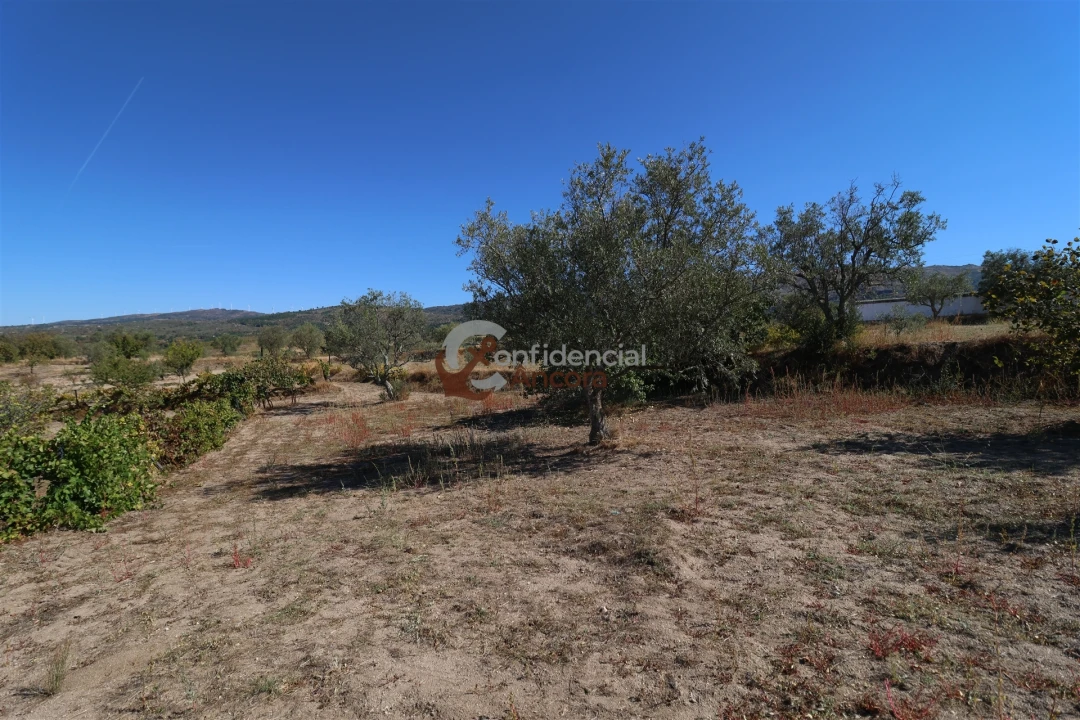 Quinta T0 para Venda em Carrapichana Foto 7