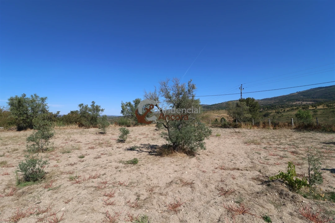 Quinta T0 para Venda em Carrapichana Foto 30