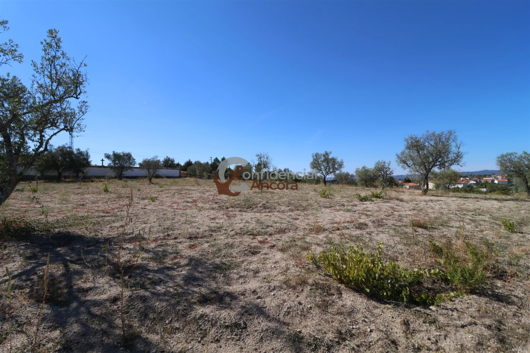 Quinta T0 para Venda em Carrapichana Foto 36