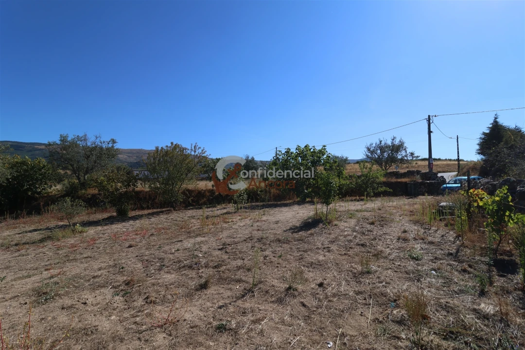 Quinta T0 para Venda em Carrapichana Foto 5