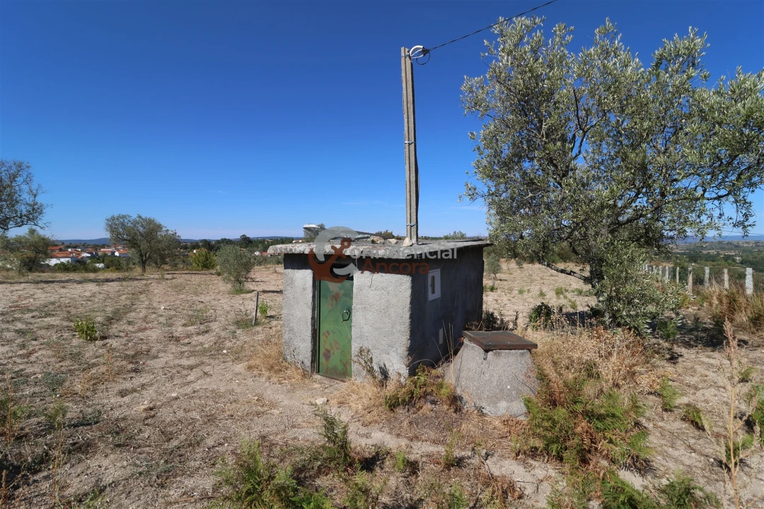 Quinta T0 para Venda em Carrapichana Foto 34