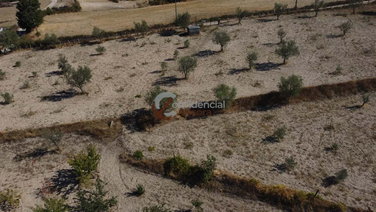 Quinta T0 para Venda em Carrapichana Foto 52