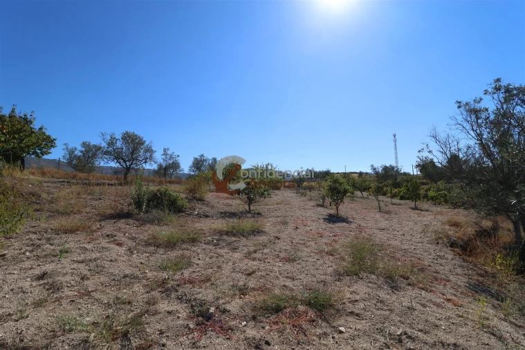 Quinta T0 para Venda em Carrapichana Foto 23