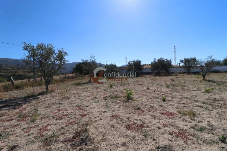 Quinta T0 para Venda em Carrapichana Foto 38