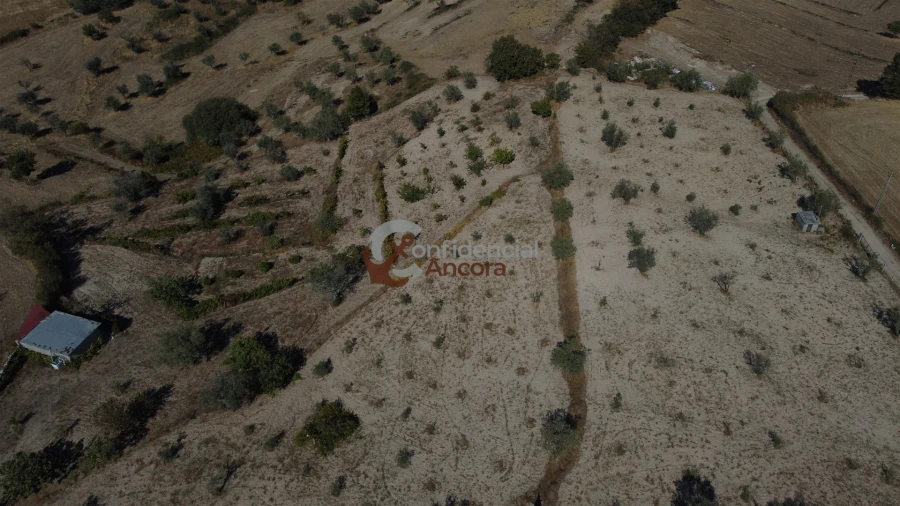 Quinta T0 para Venda em Carrapichana Foto 48