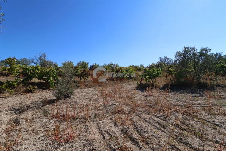 Quinta T0 para Venda em Carrapichana Foto 19