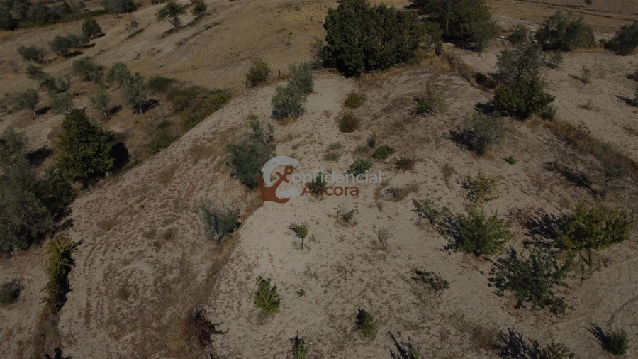 Quinta T0 para Venda em Carrapichana Foto 64