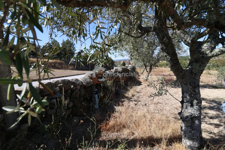 Quinta T0 para Venda em Carrapichana Foto 44