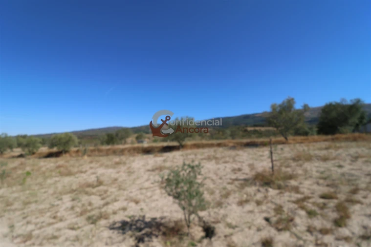 Quinta T0 para Venda em Carrapichana Foto 42