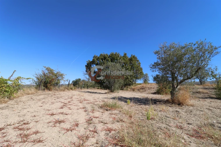 Quinta T0 para Venda em Carrapichana Foto 22