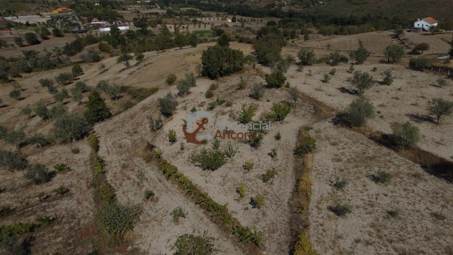 Quinta T0 para Venda em Carrapichana Foto 55