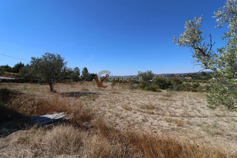 Quinta T0 para Venda em Carrapichana Foto 40