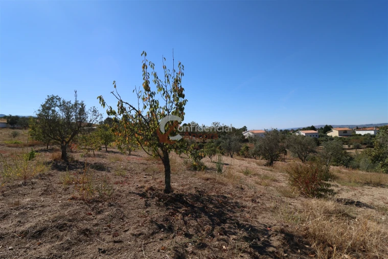 Quinta T0 para Venda em Carrapichana Foto 24