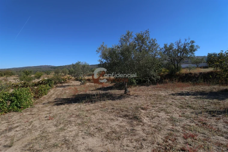 Quinta T0 para Venda em Carrapichana Foto 7