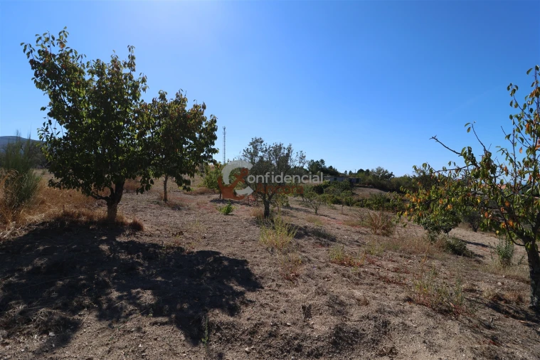 Quinta T0 para Venda em Carrapichana Foto 25