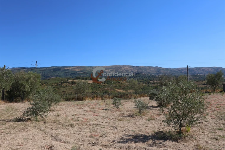 Quinta T0 para Venda em Carrapichana Foto 28