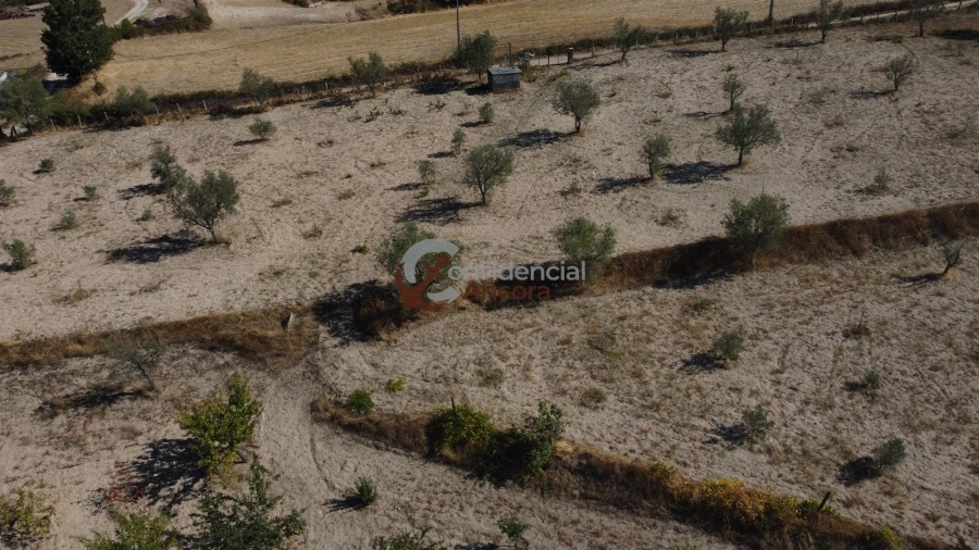 Quinta T0 para Venda em Carrapichana Foto 52