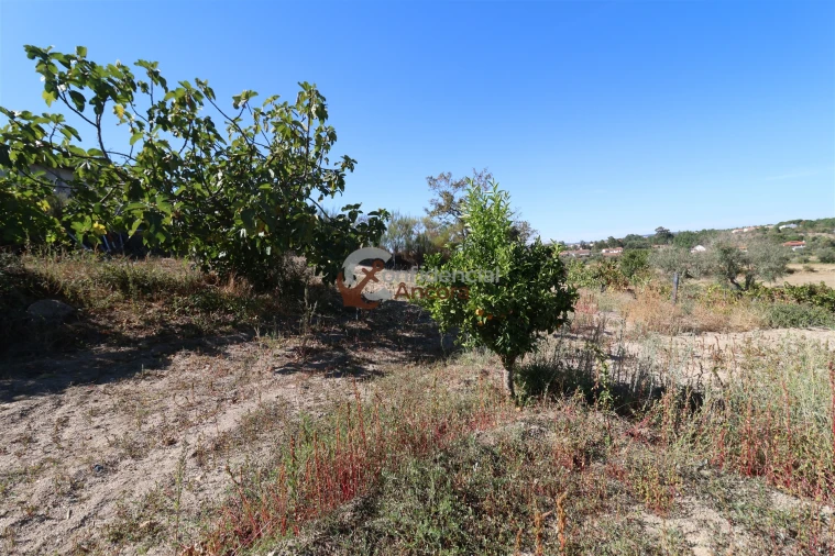 Quinta T0 para Venda em Carrapichana Foto 14