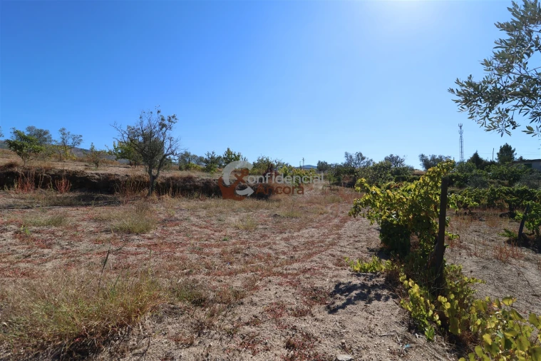 Quinta T0 para Venda em Carrapichana Foto 20