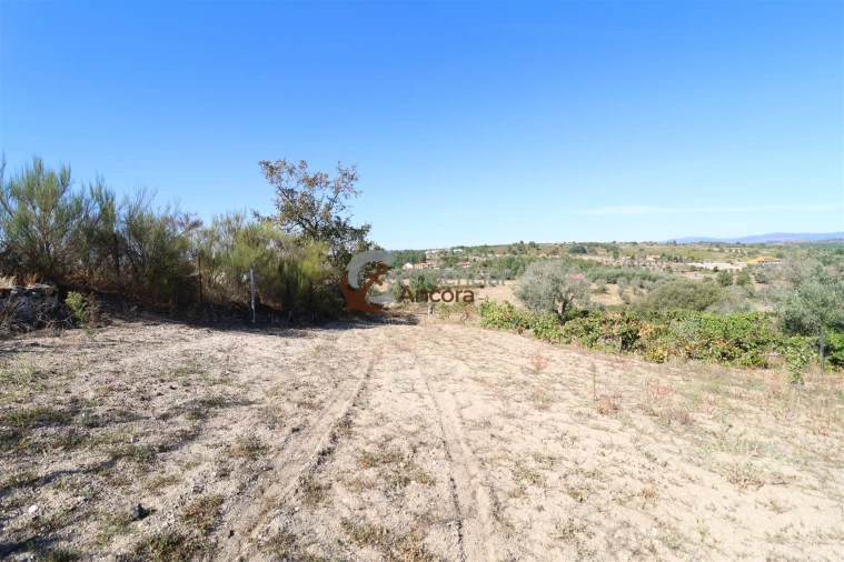 Quinta T0 para Venda em Carrapichana Foto 11