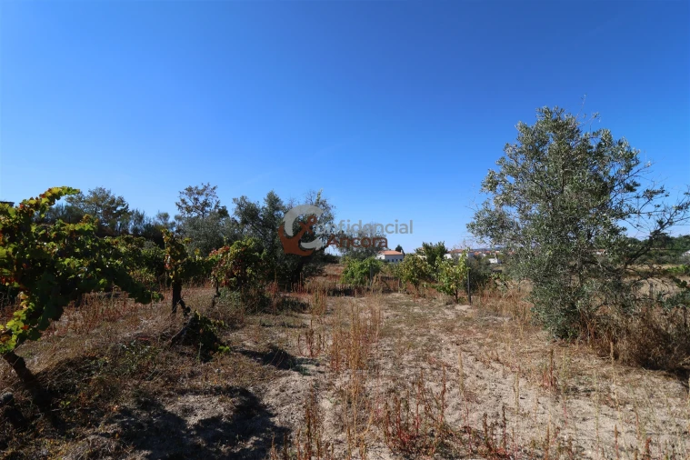 Quinta T0 para Venda em Carrapichana Foto 16