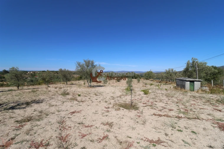 Quinta T0 para Venda em Carrapichana Foto 39