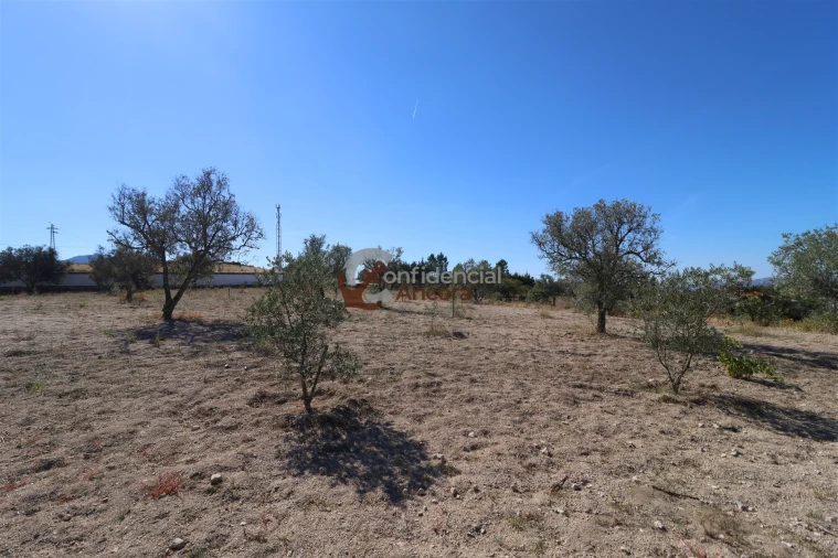 Quinta T0 para Venda em Carrapichana Foto 32