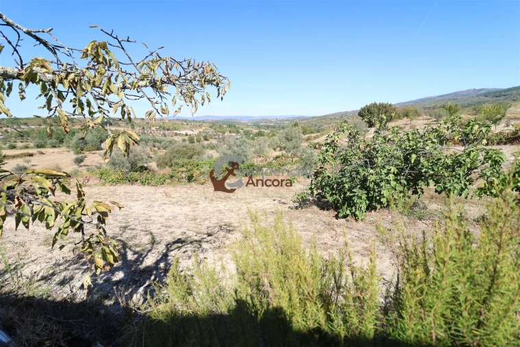 Quinta T0 para Venda em Carrapichana Foto 9